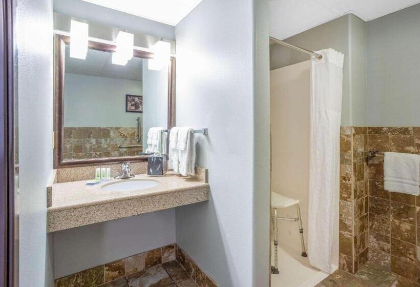 Номер Deluxe Адаптированный для Инвалидов, Americinn By Wyndham Madison South