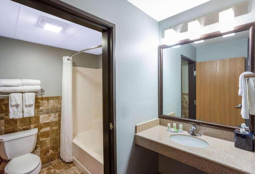 Люкс Кровать Кинг, Americinn By Wyndham Madison South