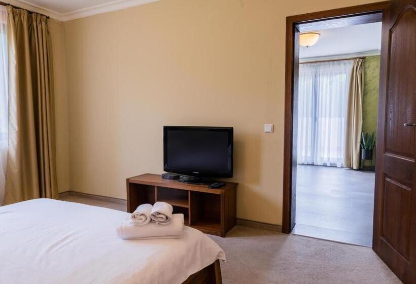 Апартаменты 1 Спальня, Guest House Valevtsi