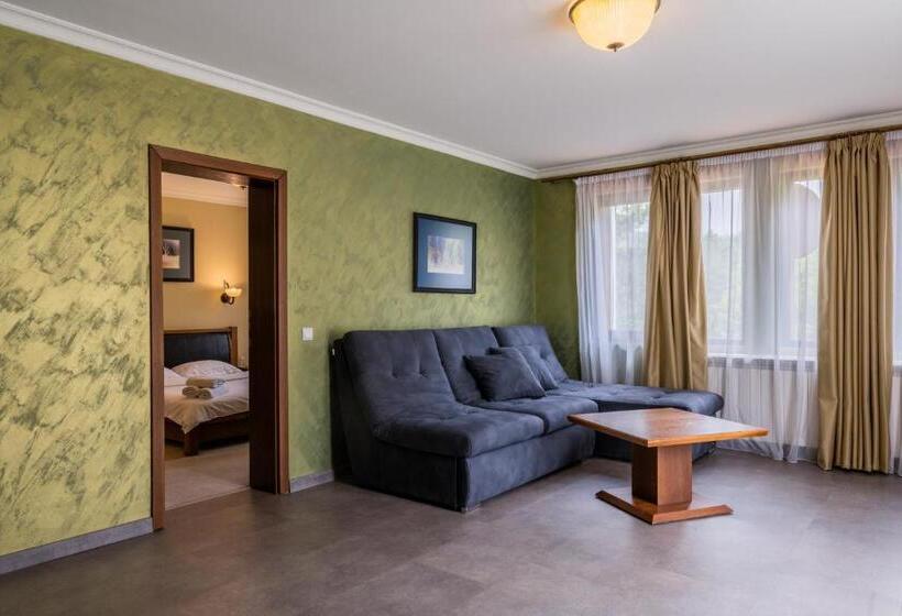 Апартаменты 1 Спальня, Guest House Valevtsi