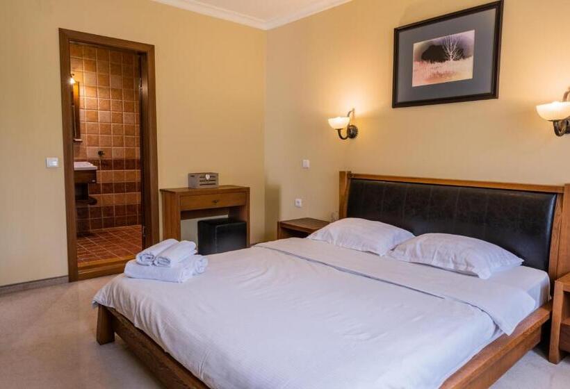Апартаменты 1 Спальня, Guest House Valevtsi