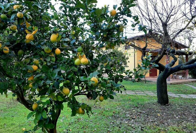 Семейный Номер Superior, Agriturismo Podere Bedin
