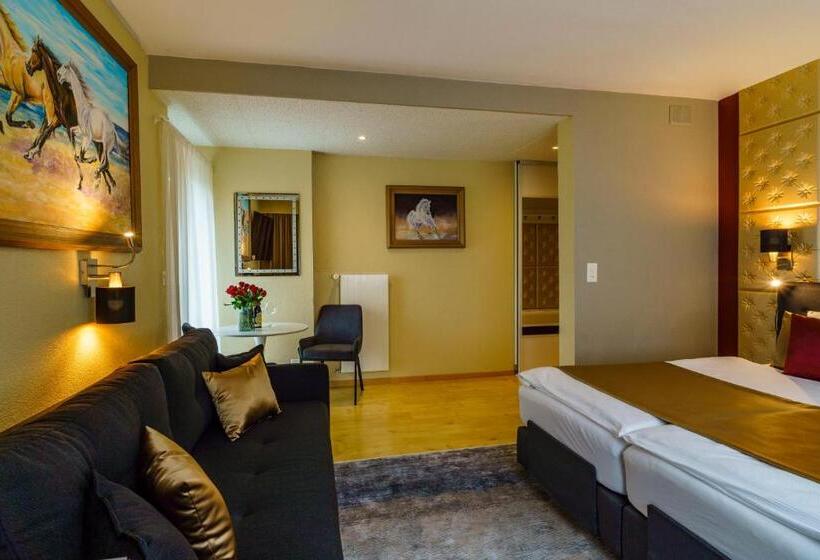 Номер Стандарт, Seeblick Smart Hotel Rössli