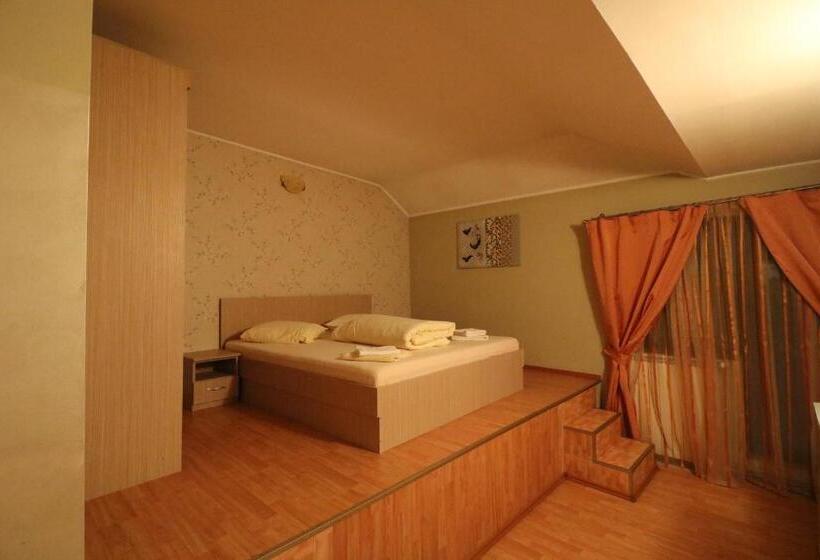 Номер Стандарт, Pensiunea Baroque Slimnic