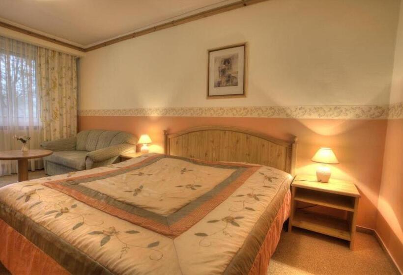 Номер Стандарт, Grand Hotel Residence Luxury Boutique Hotel Adult Only With Free Privat Wellness Or Massage