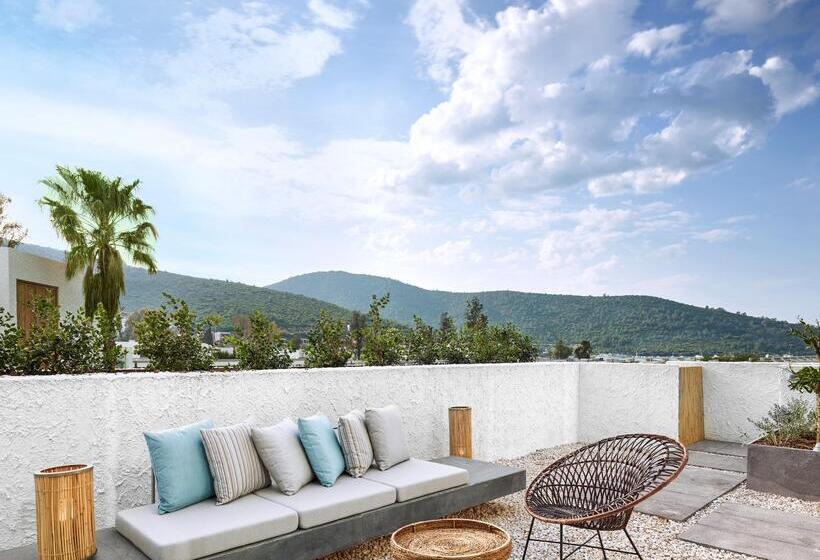 Номер Superior, Voyage Torba