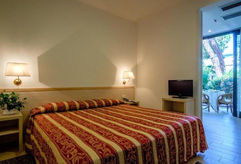 Номер Стандарт, Bristol