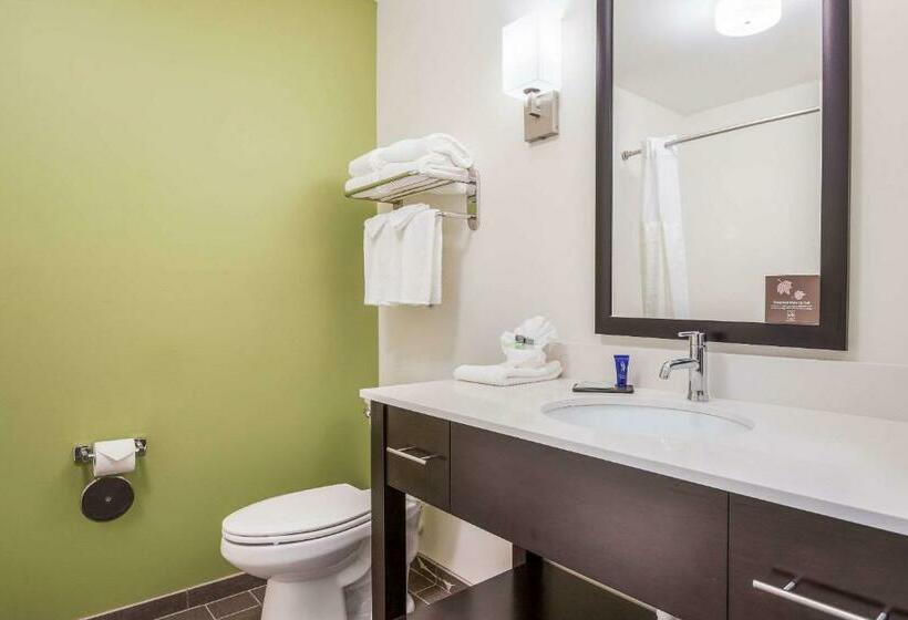 Номер Стандарт 2 Двуспальные Кровати, Best Western Park City Wichita North