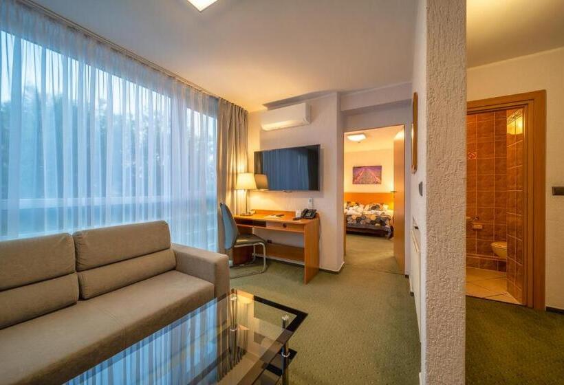 1 Bedroom Apartment, Gromada Poznań