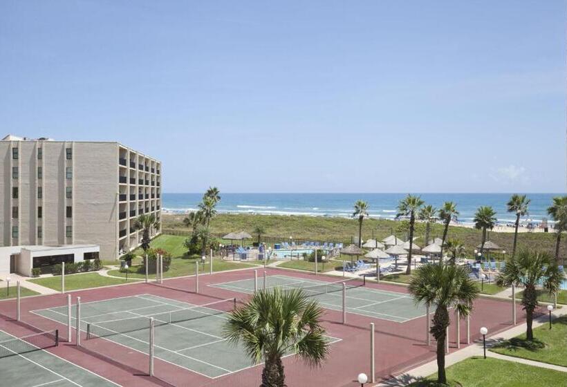 Апартаменты 1 Спальня Вид на Море, Saida