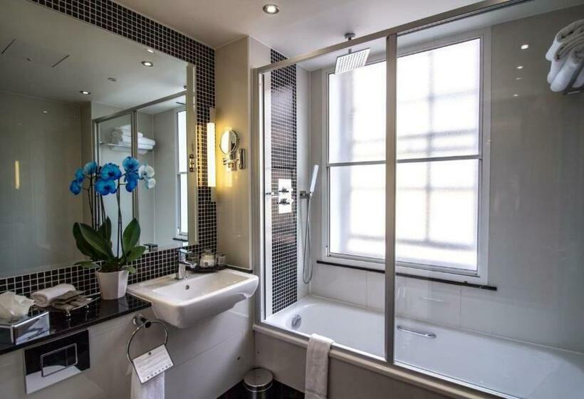 Номер Deluxe, Wellington Hotel By Blue Orchid