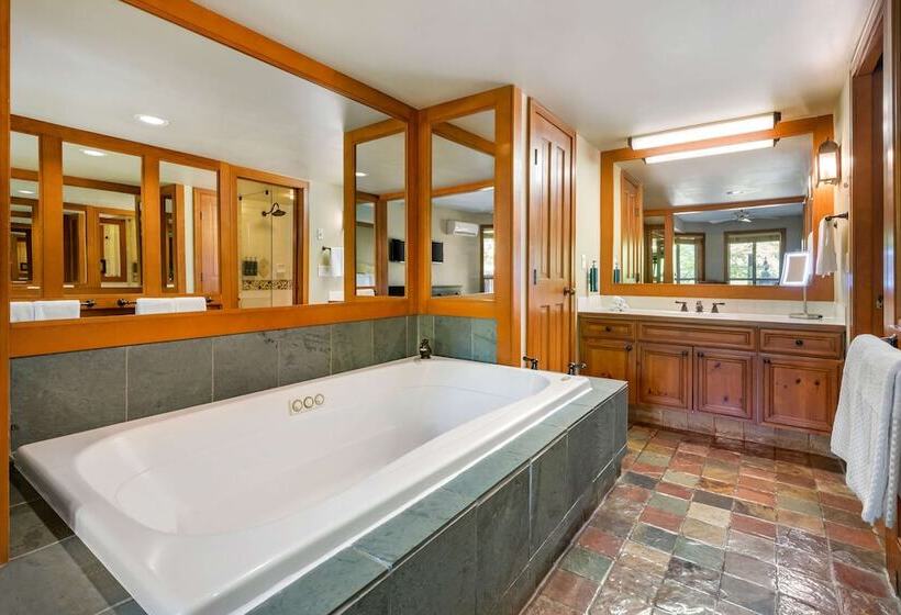 Апартаменты 1 Спальня, Hilton Grand Vacations Club Whistler