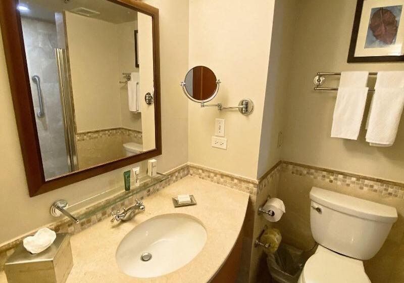 Escritório Deluxe, Costa Bahia Hotel Paseo Caribe