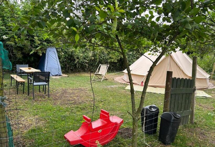 Standard Tent, Willow Barn