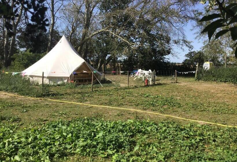 Standard Tent, Willow Barn
