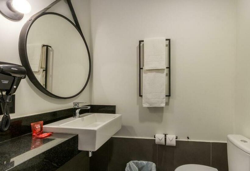 Апартаменты 1 Спальня, Ibis Ribeirão Preto Vila Do Golf