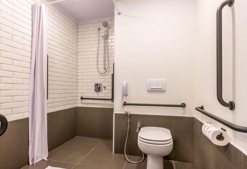 Апартаменты 1 Спальня, Ibis Ribeirão Preto Vila Do Golf