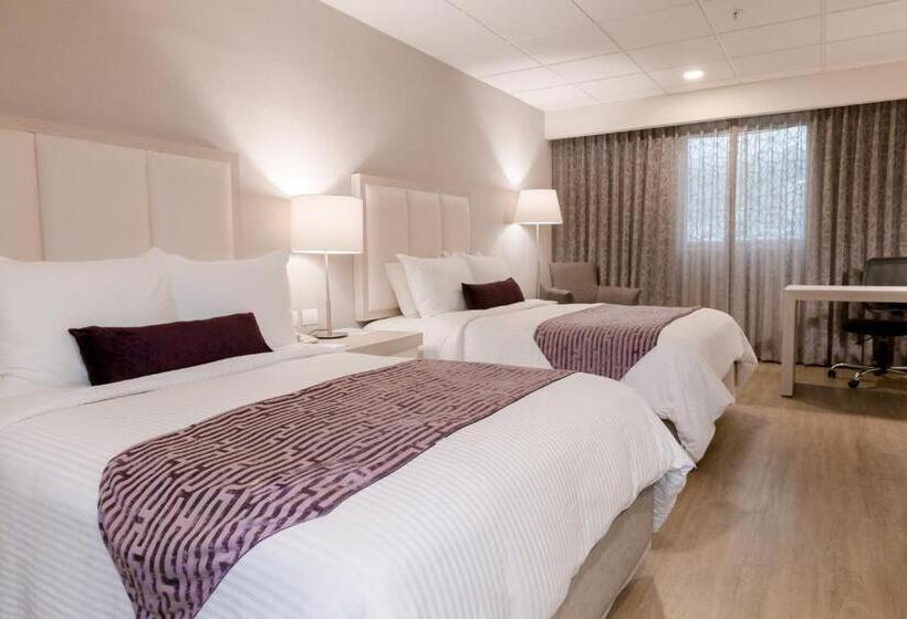 Quarto Deluxe, Antaris Galerias