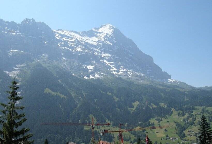 Одноместный Номер с Террасой, Alpenhof