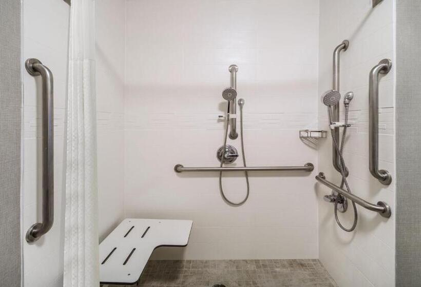Люкс, Residence Inn By Marriott Chicago Oak Brook