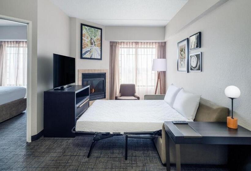 Люкс 2 Спальни, Residence Inn By Marriott Chicago Oak Brook