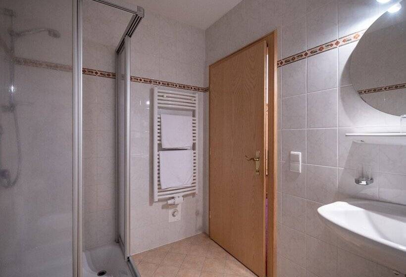 Номер Стандарт Двуспальная Кровать, Aparthotel Panorama