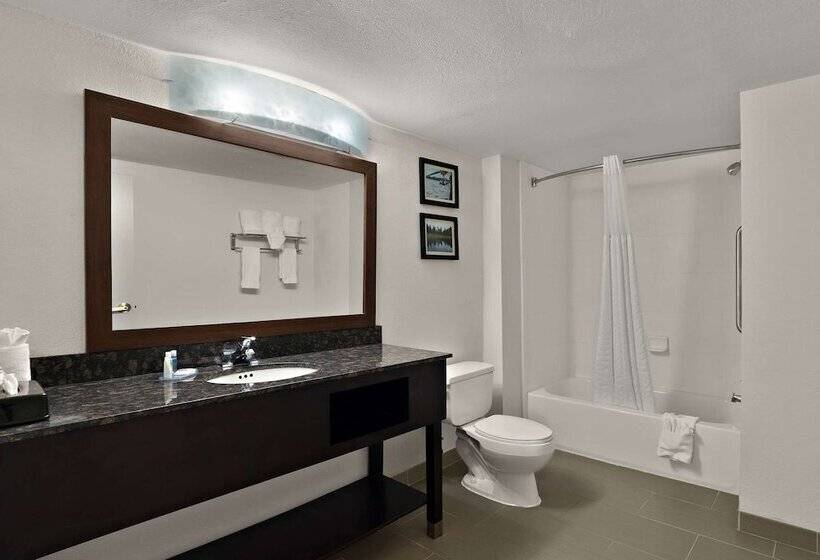스위트, Comfort Inn & Suites Santee I95
