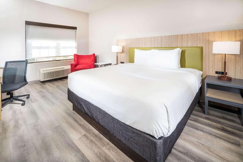스탠다드 룸 킹사이즈 침대, Country Inn & Suites By Radisson, Stone Mountain, Ga