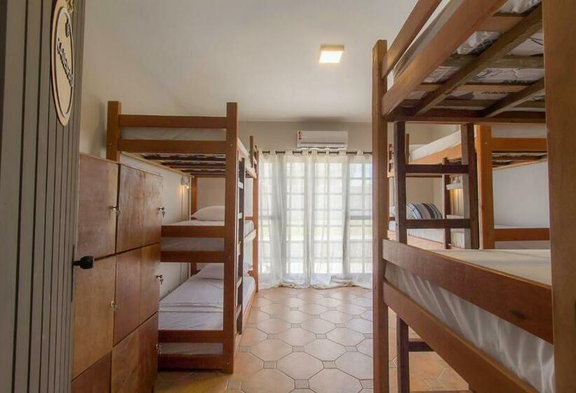 공동 객실, Hostel Costa Terral
