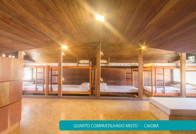 공동 객실, Hostel Costa Terral