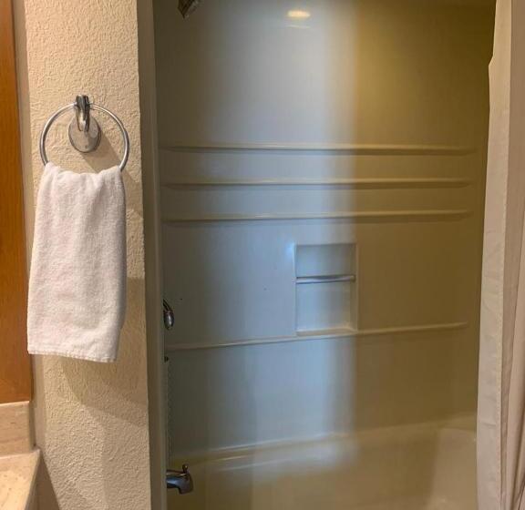 Апартаменты 1 Спальня, Vidant At Nuevo Vallarta