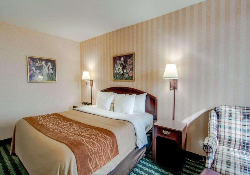 Стандартный Номер Кровать Кинг, Comfort Inn Airport