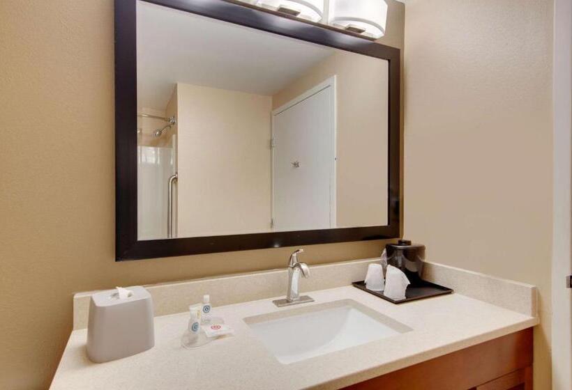 Стандартный Номер Кровать Кинг, Comfort Inn Airport