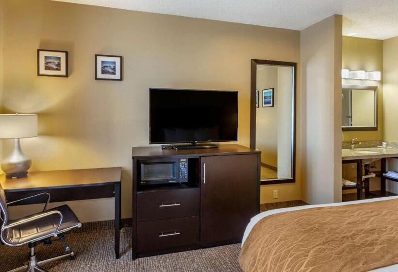 Стандартный Номер Кровать Кинг, Comfort Inn Evanston I 80
