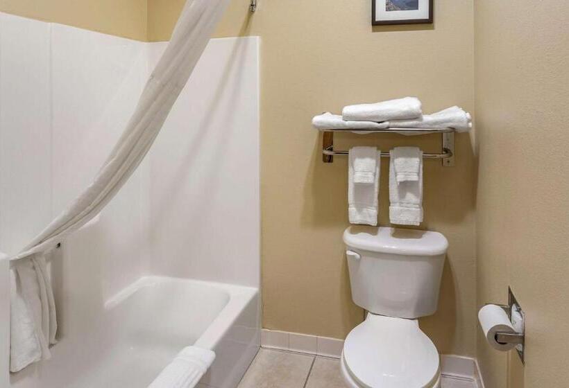 Семейный Номер, Comfort Inn Evanston I 80