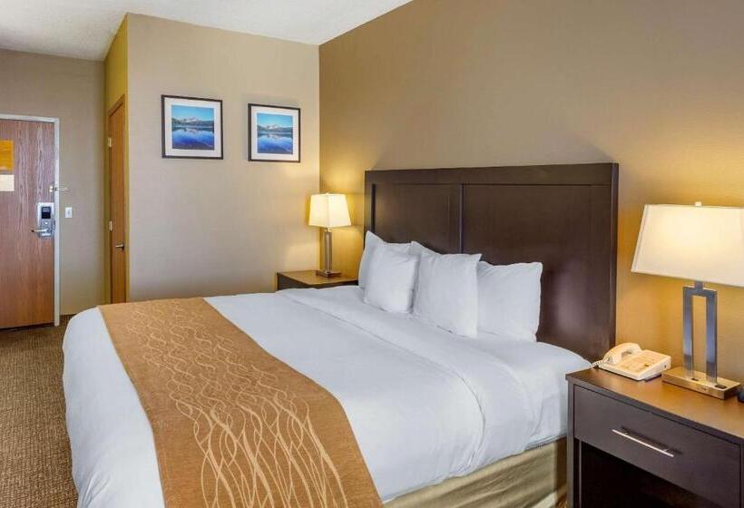 Люкс Superior, Comfort Inn Evanston I 80