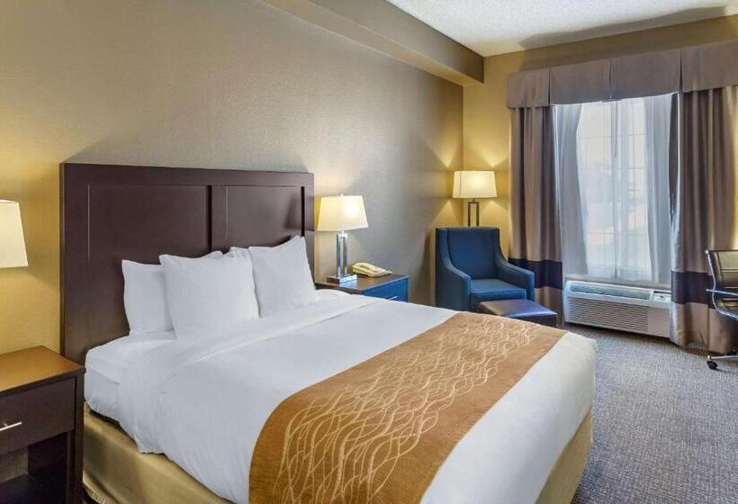 Номер Стандарт Адаптированный для Инвалидов, Comfort Inn Evanston I 80
