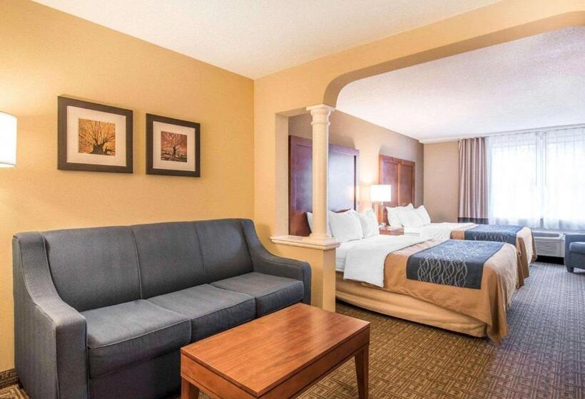 Люкс, Comfort Inn & Suites Dover Portsmouth