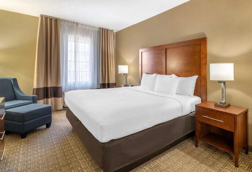 Стандартный Номер Кровать Кинг, Comfort Inn & Suites Dover Portsmouth