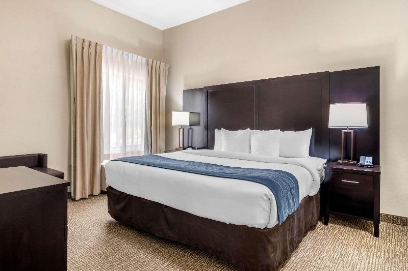 סוויטה, Comfort Inn & Suites Atlanta Smyrna
