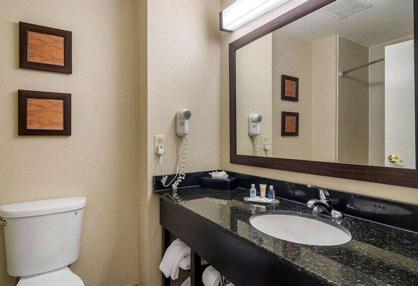 סוויטה, Comfort Inn & Suites Atlanta Smyrna
