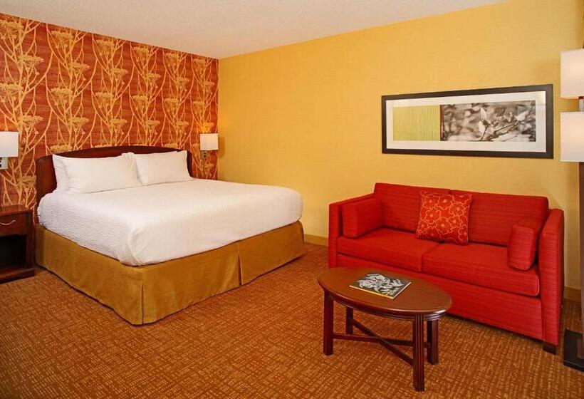Стандартный Номер Кровать Кинг, Courtyard By Marriott Baltimore Downtown/inner Harbor