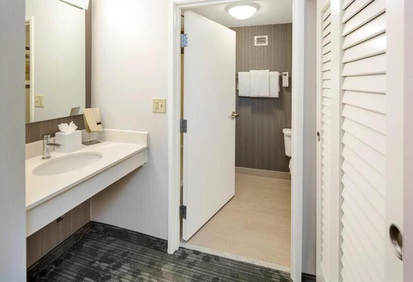 اتاق استاندارد با تخت بزرگ, Courtyard By Marriott Bryan College Station