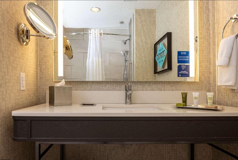 חדר סטנדרט עם מיטת קינג, Hilton Austin Airport