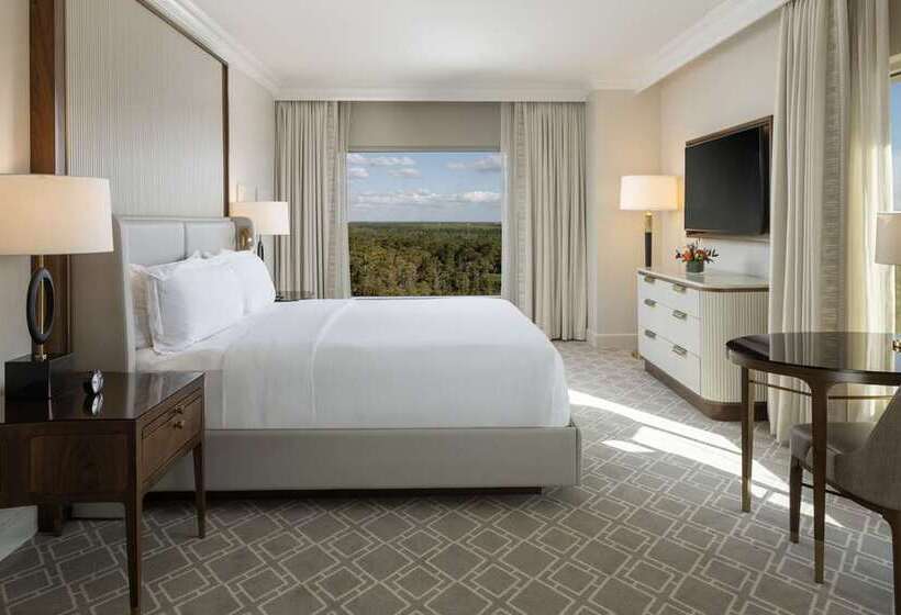 חדר סטנדרט, Hilton Austin Airport