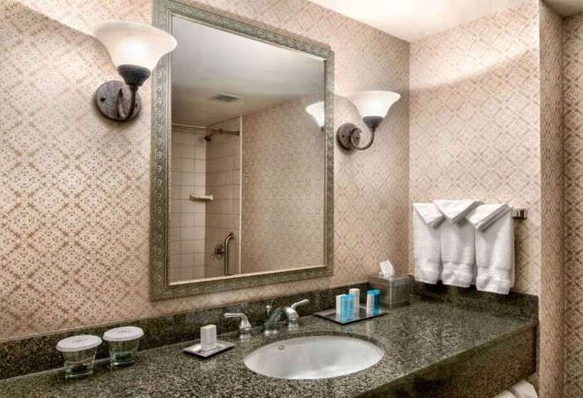장애인을 위한 스탠다드 룸, Hilton Scranton & Conference Center