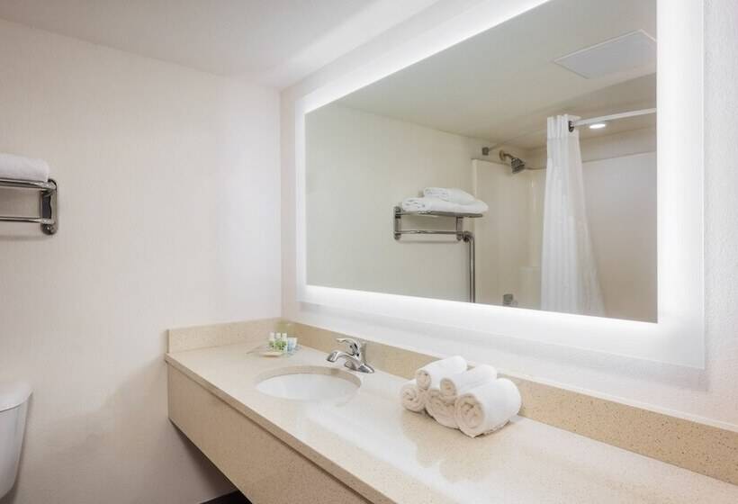 Семейный Номер, Holiday Inn At Six Flags Saint Louis, An Ihg