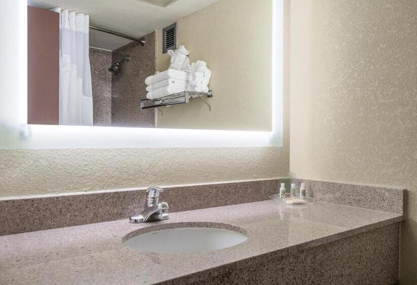 Номер Стандарт, Holiday Inn Morgantown   Reading Area, An Ihg