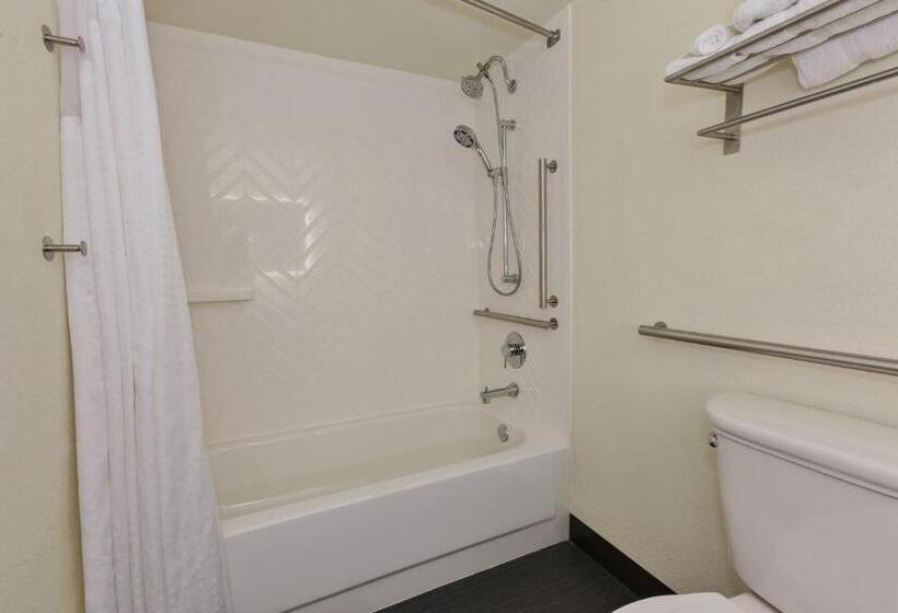 Номер Стандарт Адаптированный для Инвалидов, Holiday Inn Morgantown   Reading Area, An Ihg