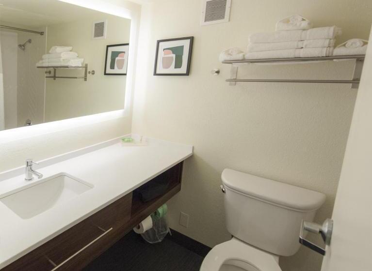 Стандартный Номер Кровать Кинг, Holiday Inn Morgantown   Reading Area, An Ihg